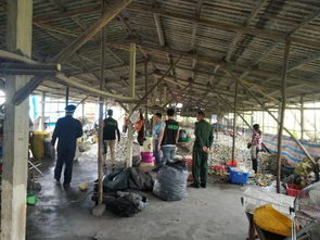 環保利劍高懸，廢塑料廠“整改”豈容“暗度陳倉”？